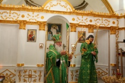 ����������� 120